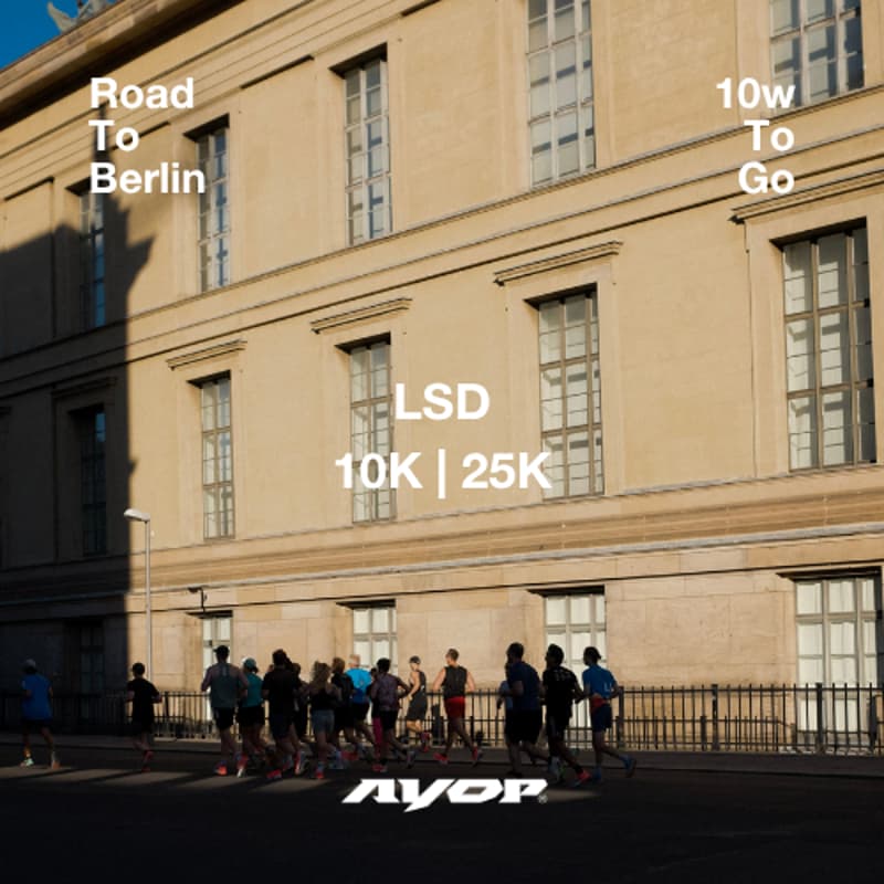 Cover Image for ROAD TO BERLIN: LSD 10K | 25K