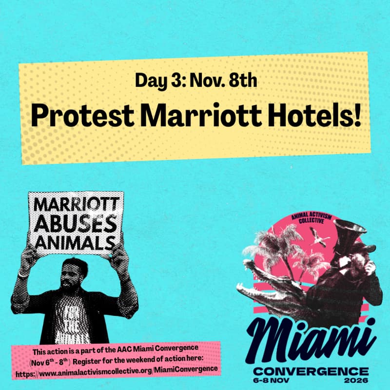 Cover Image for Marriott Protest