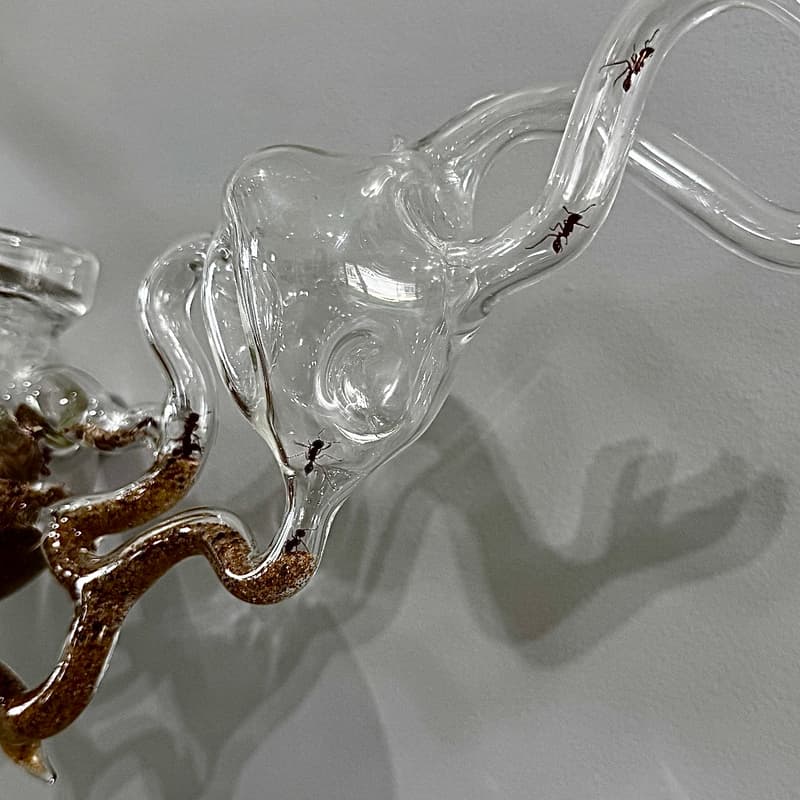 Cover Image for Opening Reception “They Cannot See the Glass” by Stella Chrone at Ruby Projects