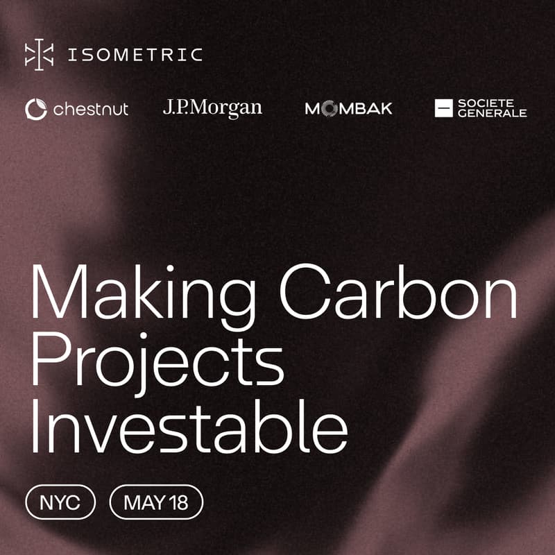 Cover Image for Making Carbon Projects Investable