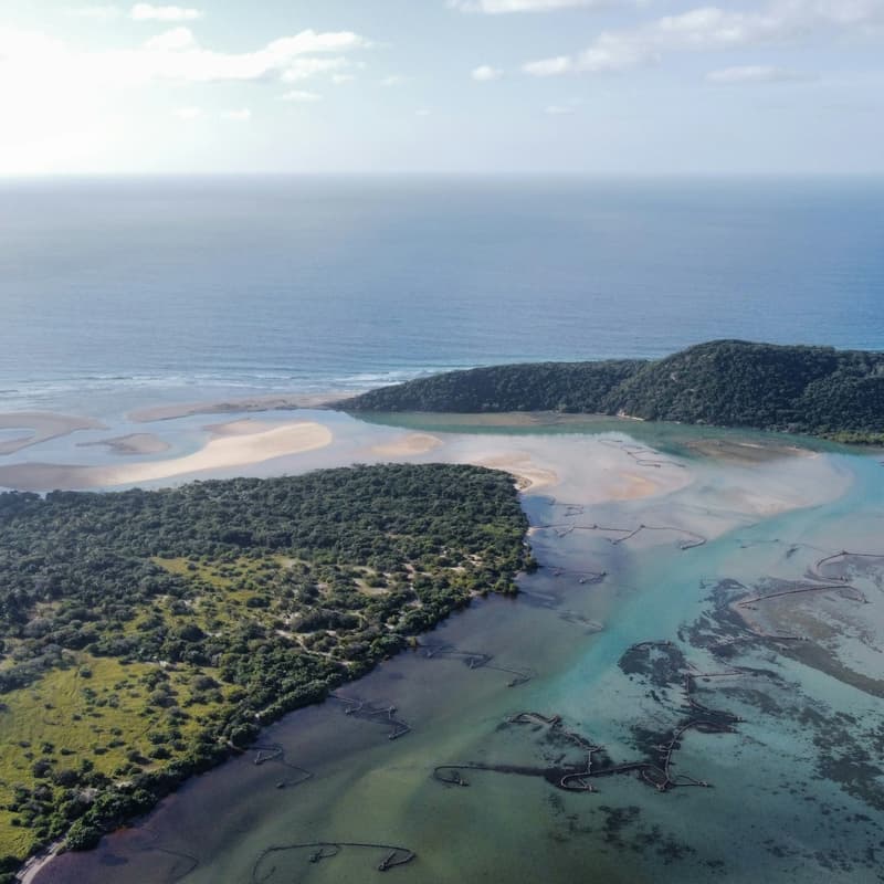 Cover Image for Into the Wild: Map your Personal and Professional Estuaries