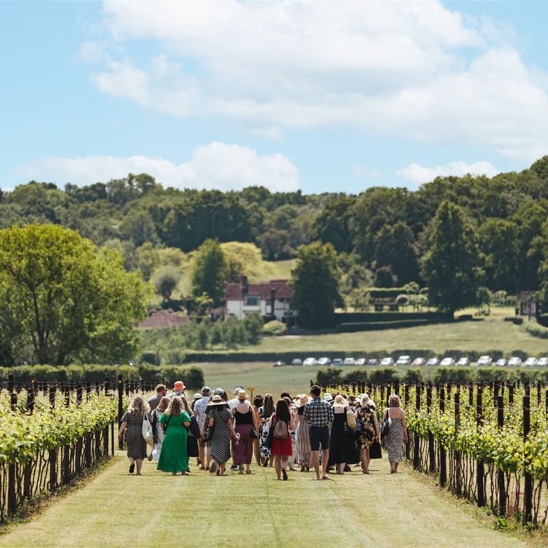 Cover Image for Luxury Wine & Dine Experience at Balfour Winery