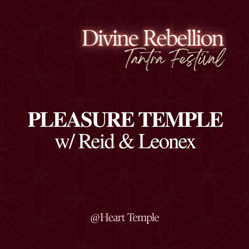 Cover Image for PLEASURE TEMPLE w/ Reid Mihalko and DJ Leonex