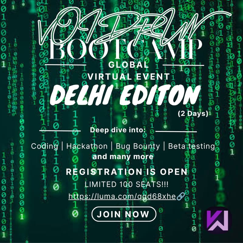 Cover Image for Void Run : Delhi Edition