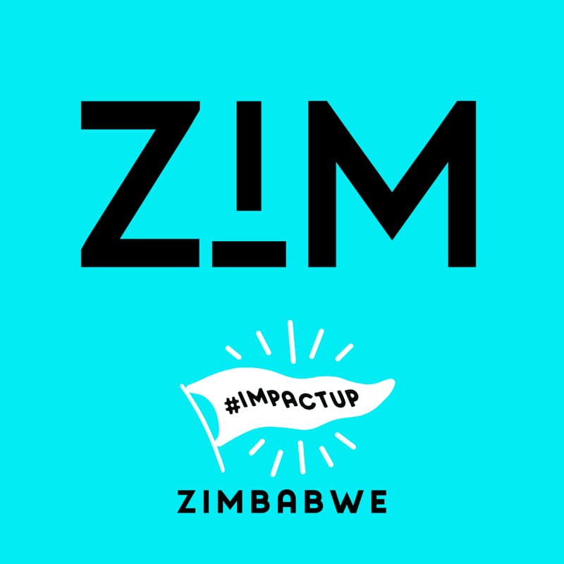 Cover Image for ImpactUp x Zimababwe
