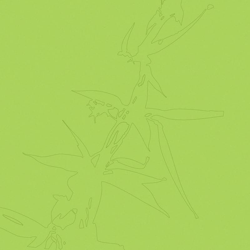 Cover Image for DSV Papermaking: A (collective) coming into presence