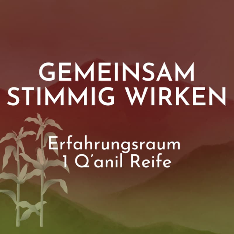 Cover Image for Stimmig Wirken 🌽 1 Q'anil Reife