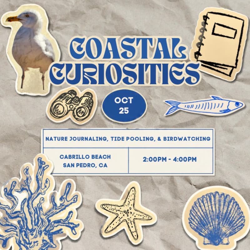 Cover Image for Coastal Curiosities