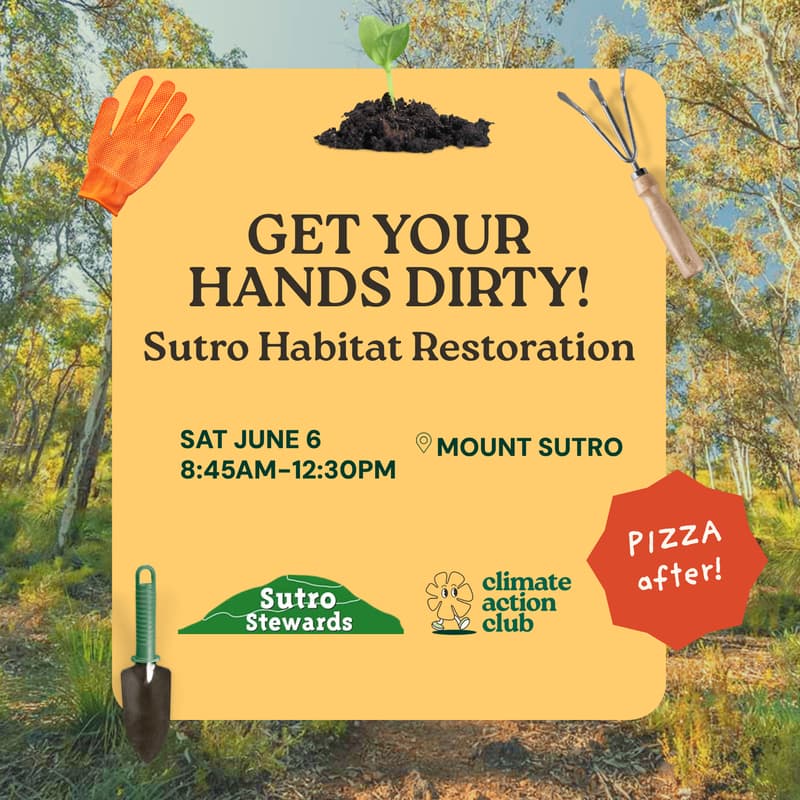 Cover Image for Climate Action Club + Sutro Stewards Restoration Day