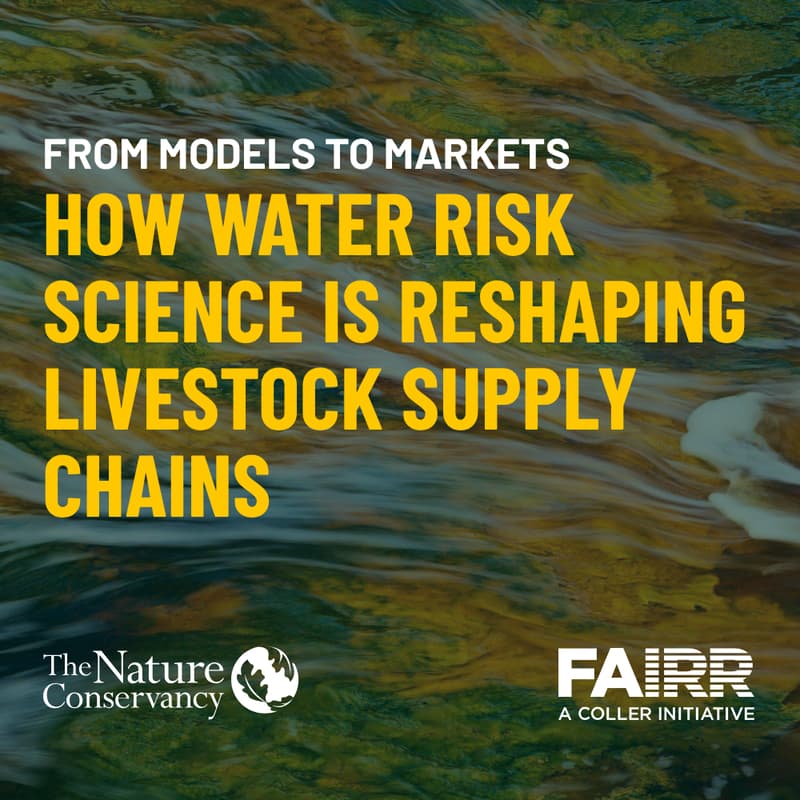 Cover Image for From Models to Markets: How Water Risk Science Is Reshaping Livestock Supply Chains