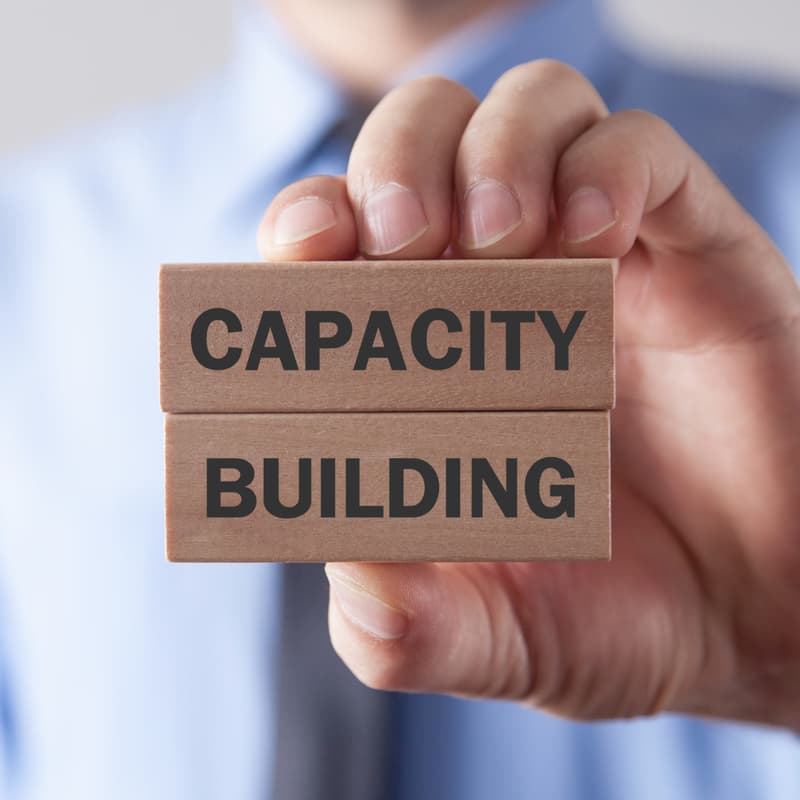 Cover Image for Building Capacity for What’s Next (Workshop 4 of 4)