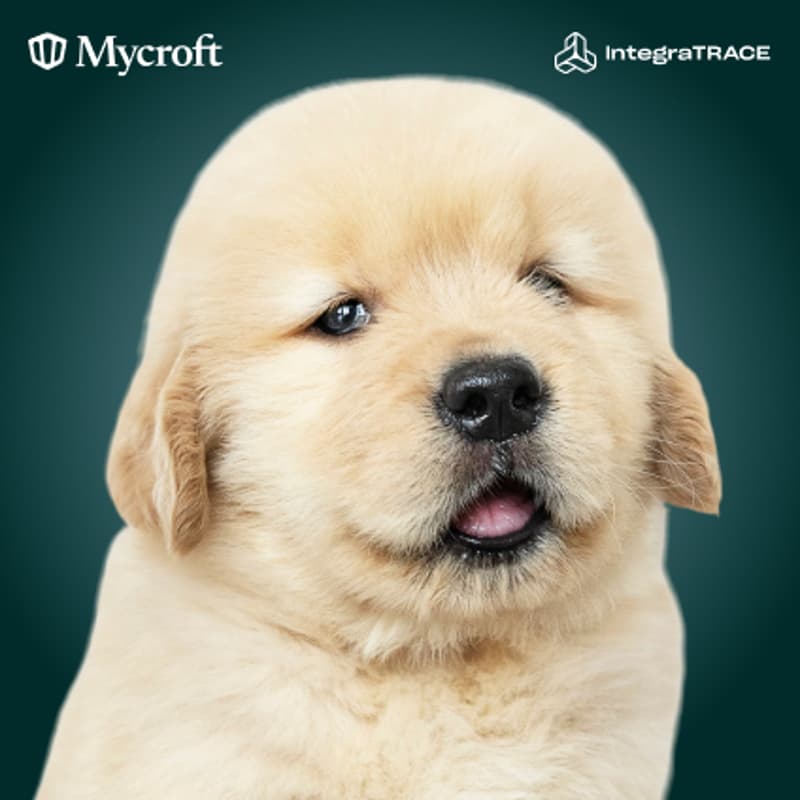 Cover Image for Toronto Tech Week: Puppy Yoga with Mycroft & IntegraTrace