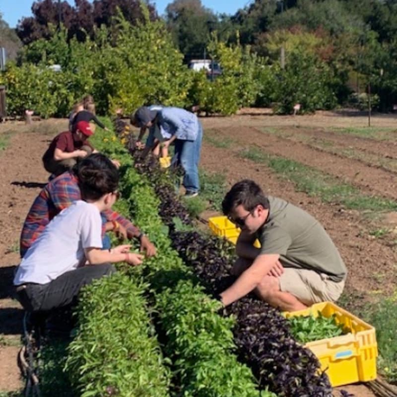 Cover Image for Farm Harvest and Lunch - First Year PhD Community Program