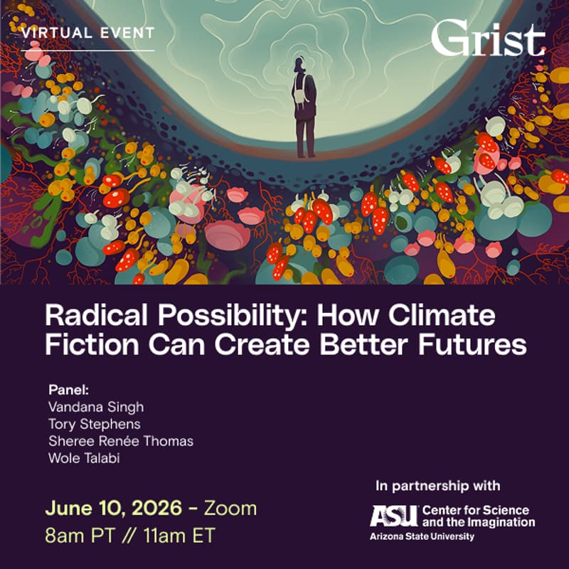 Cover Image for Radical Possibility: How Climate Fiction Can Create Better Futures