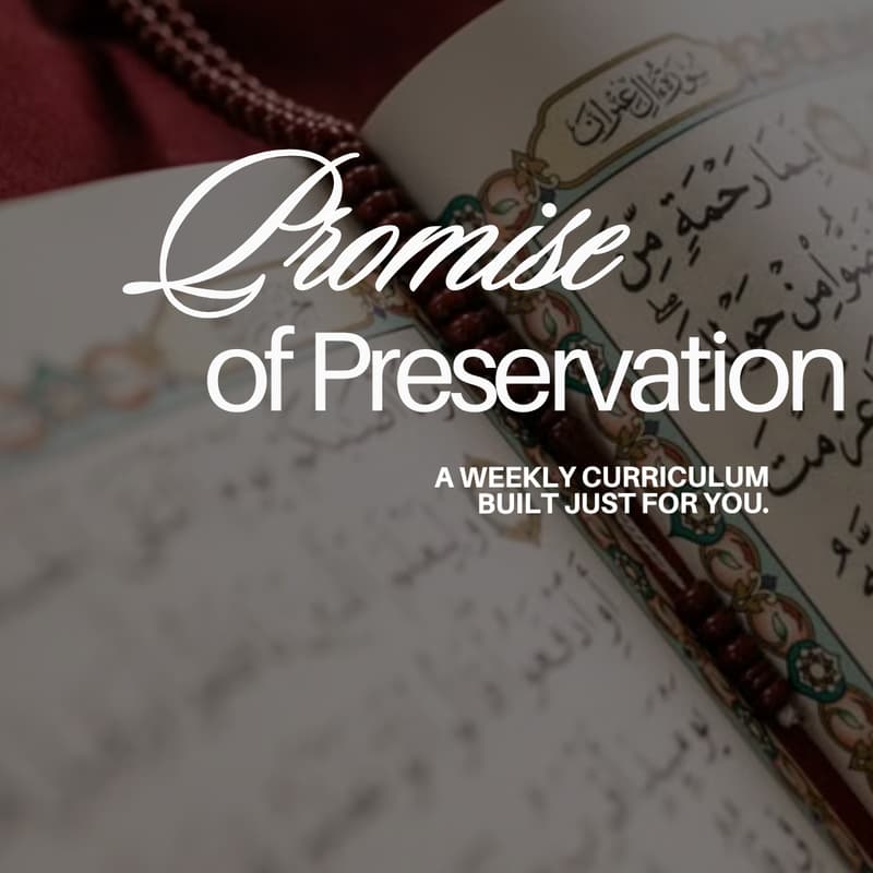 Cover Image for Promise of Preservation