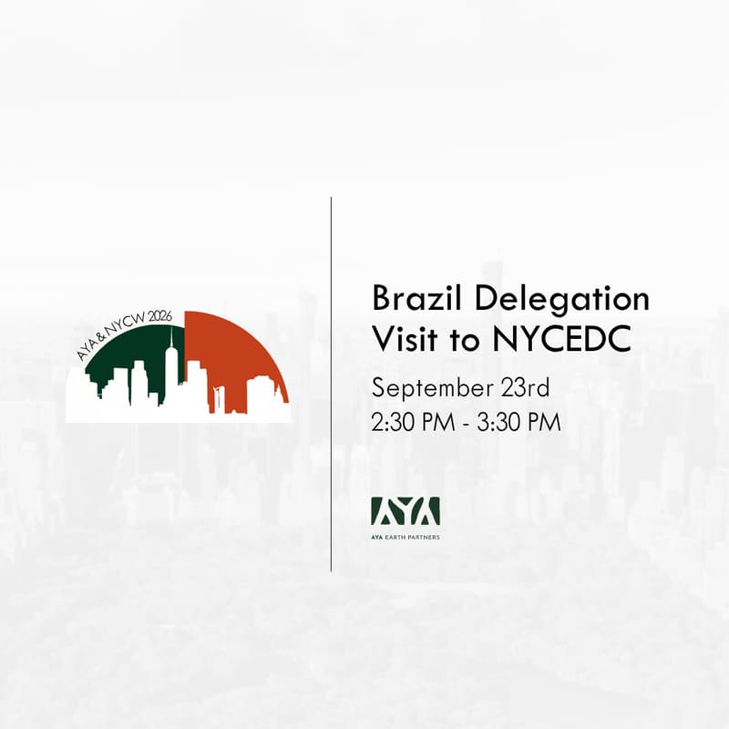 Cover Image for Brazil Delegation Visit to NYCEDC