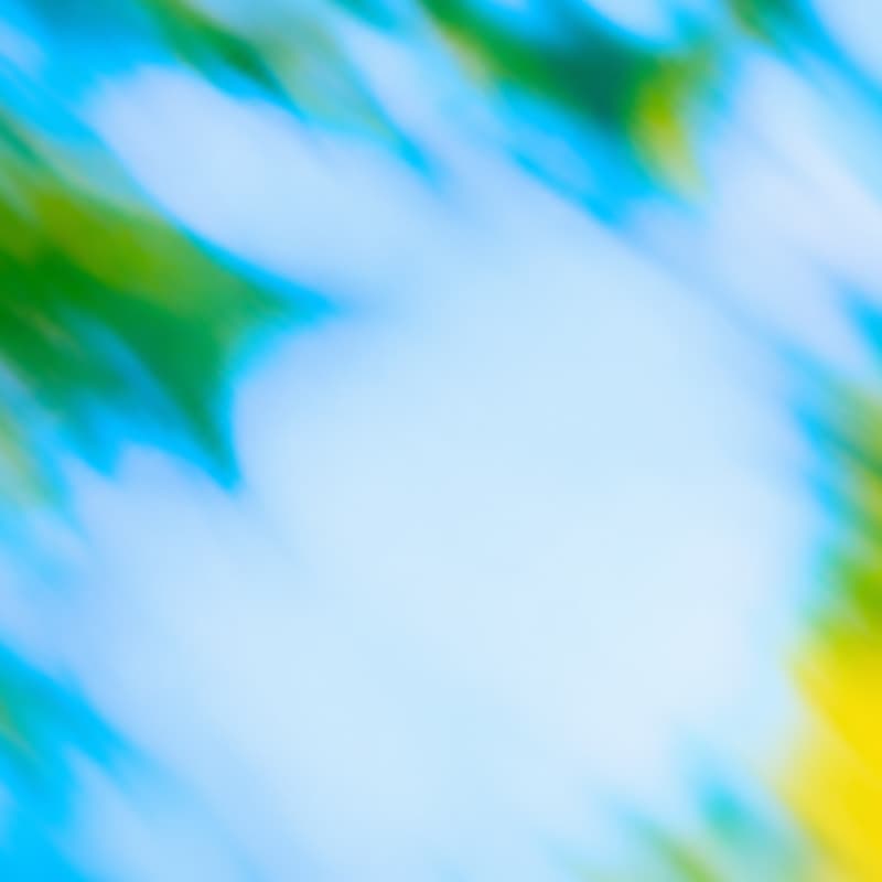 Cover Image for OpenAI at EDUCAUSE: The AI-Native University Lunch & Learn