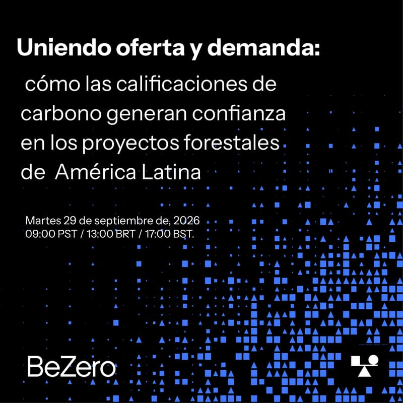 Cover Image for Uniendo oferta y demanda: cómo las calificaciones de carbono generan confianza en los proyectos forestales de América Latina