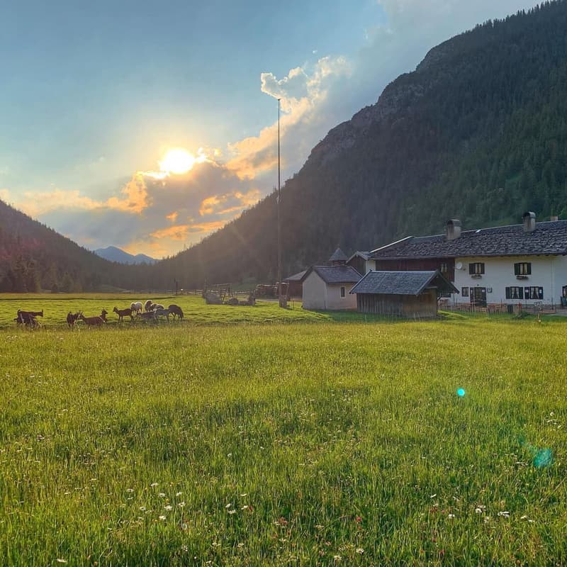 Cover Image for Aufwärts Oberland zum Almgasthof Esterberg - Business Walk & Talk