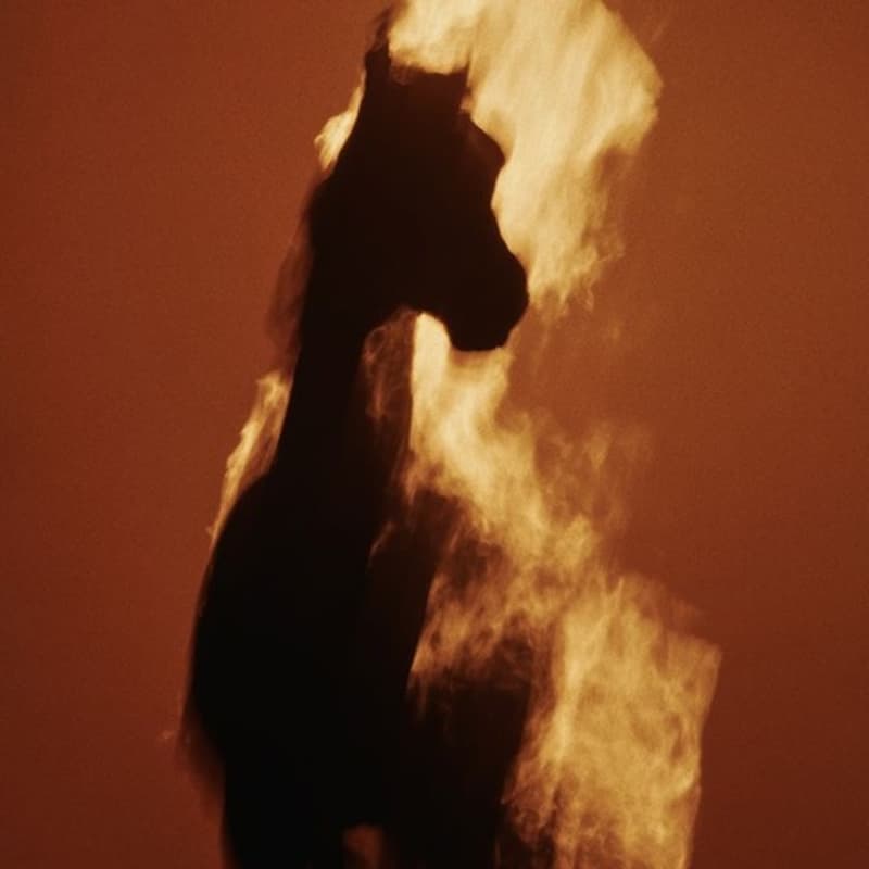 Cover Image for The Fire Horse