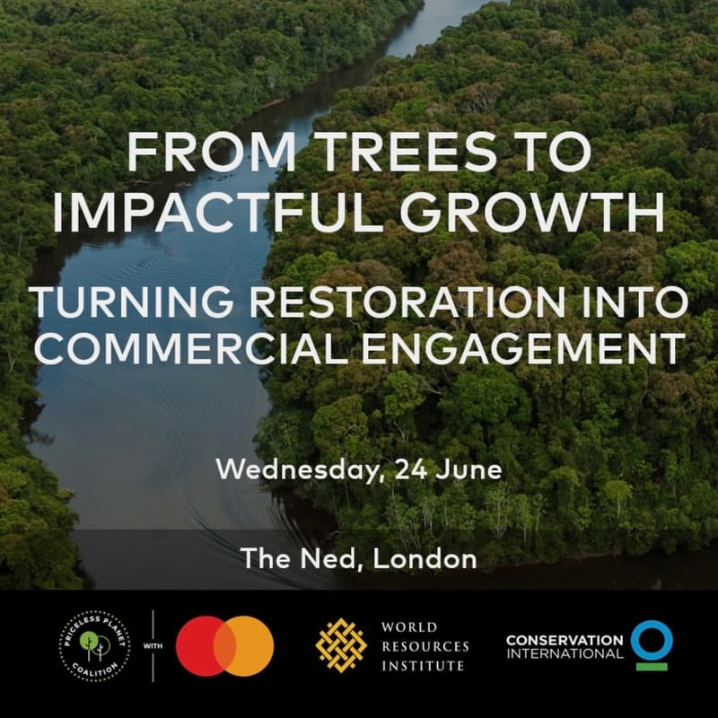 Cover Image for How the Priceless Planet Coalition helps drive competitive advantage while delivering local community and environmental impact