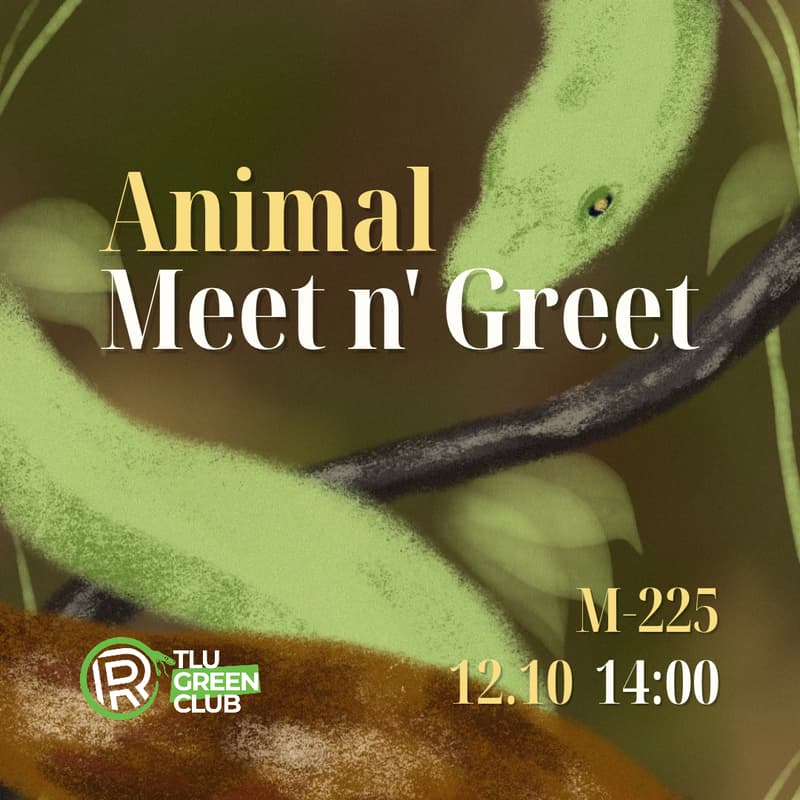 Cover Image for Loomade meet'n'greet | Animal meet'n'greet