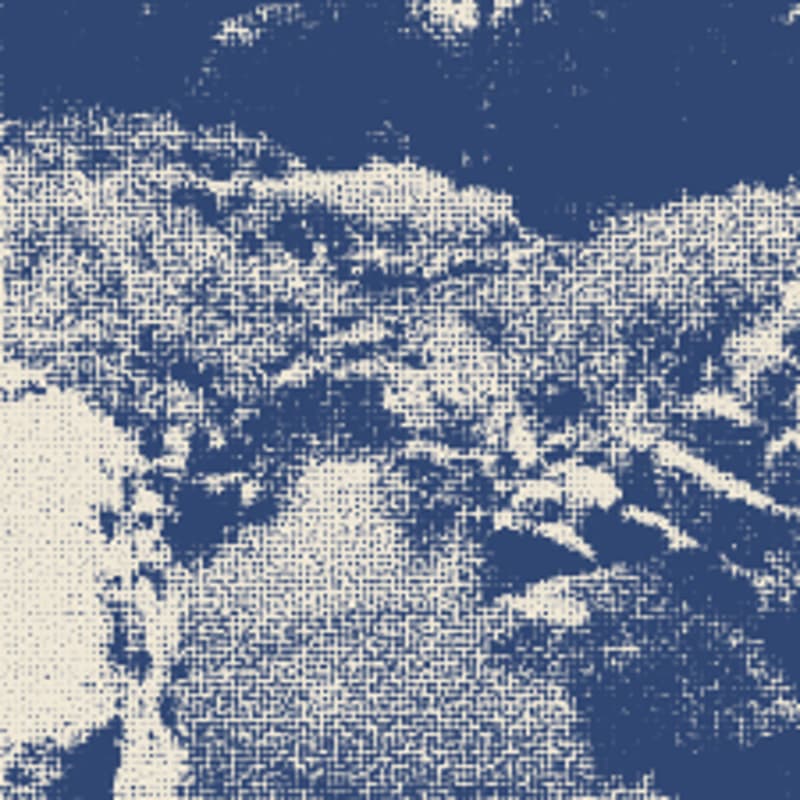 Cover Image for Walk With Watershed