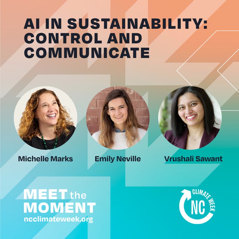 Cover Image for AI in Sustainability: Control and Communicate