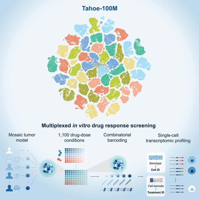 Cover Image for Bay Area Genomics Collective Webinar-Jesse Zhang