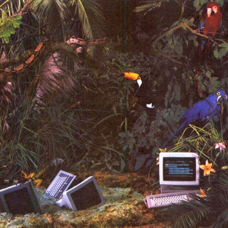 Cover Image for Breaking Walled Gardens