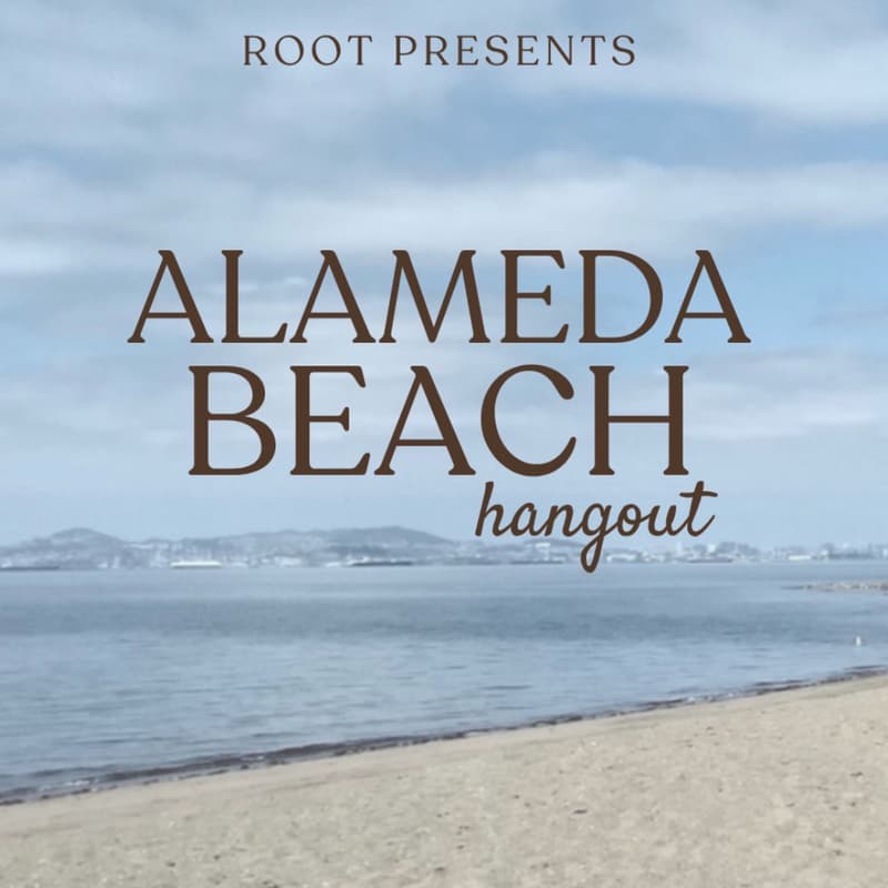 Cover Image for Alameda Beach Hangout