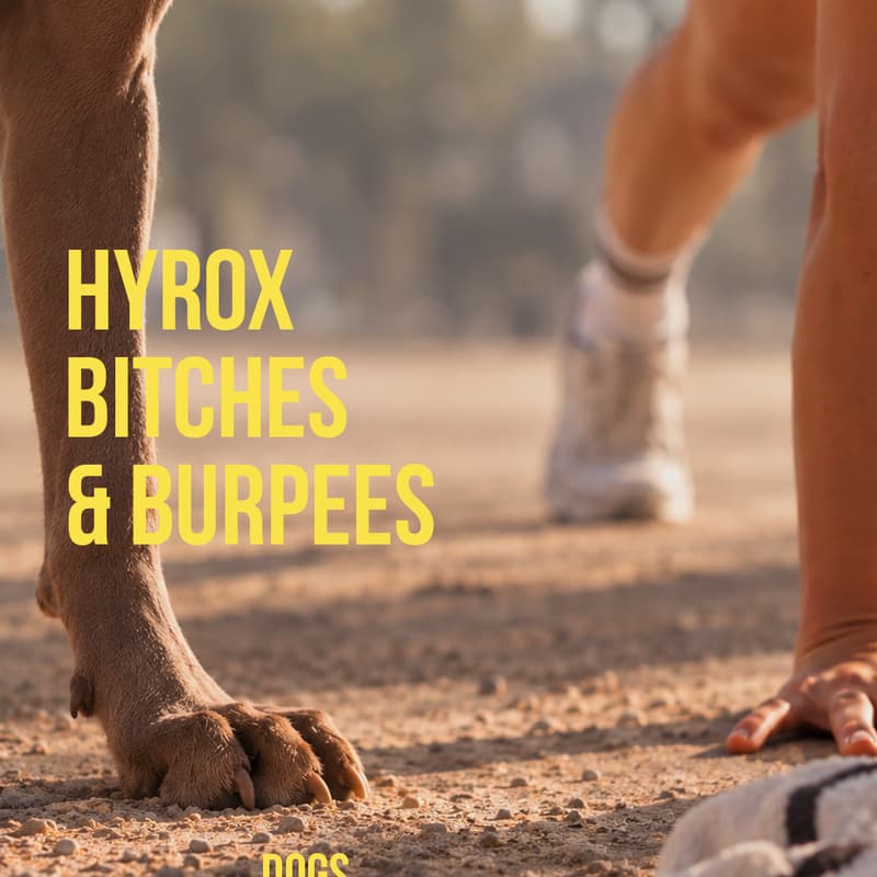 Cover Image for HYROX BITCHES & BURPEES