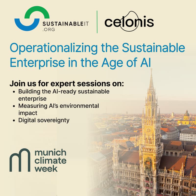 Cover Image for Operationalizing the Sustainable Enterprise in the Age of AI