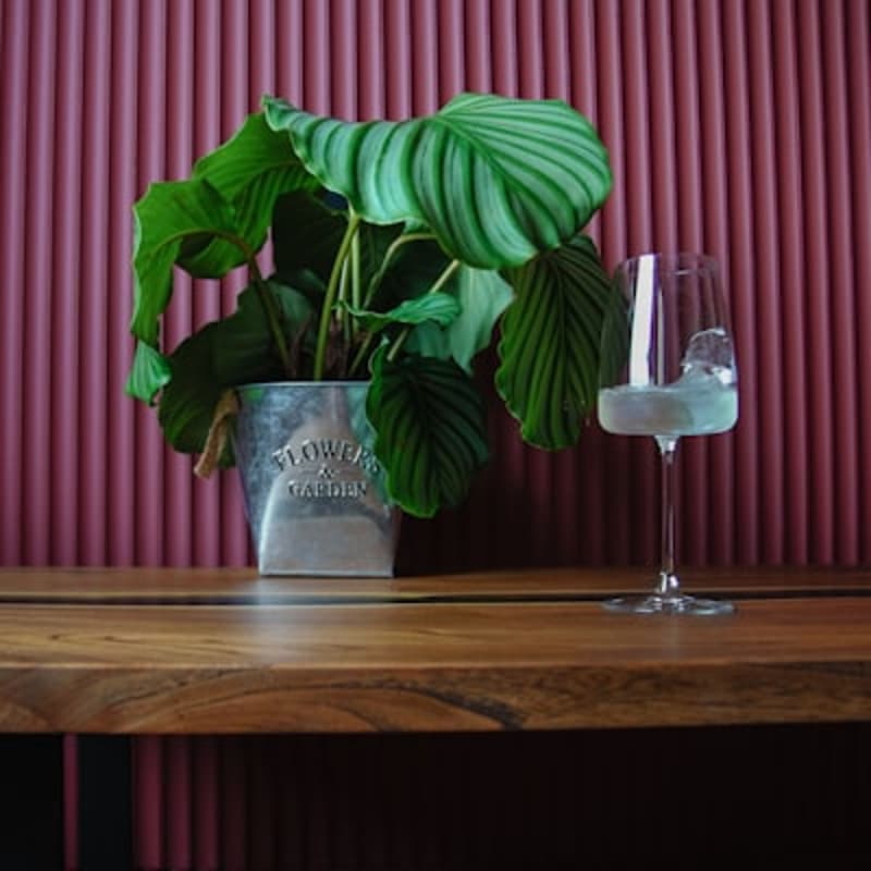 Cover Image for Stem & Vine Presents...