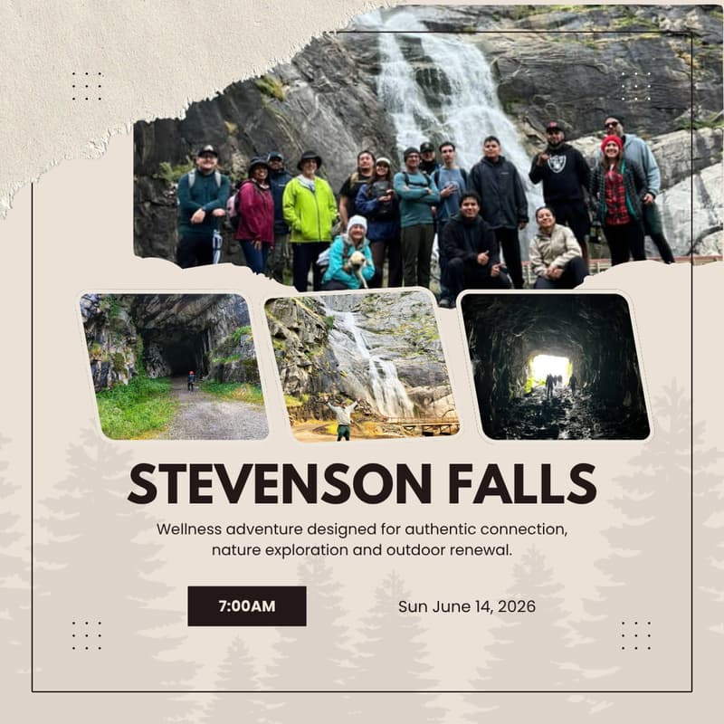 Cover Image for Stevenson Falls