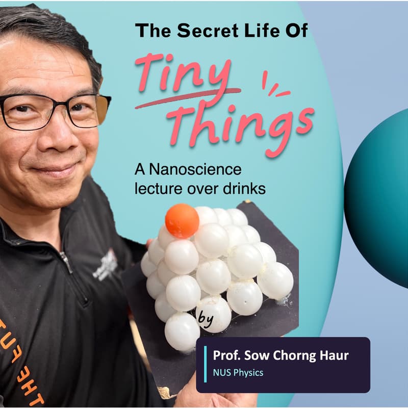 Cover Image for The Secret Life of Tiny Things: A nanoscience lecture over drinks! (limited seats, incl. a drink)