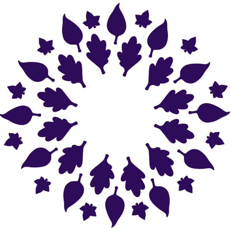 Cover Image for Women's Network 2.0