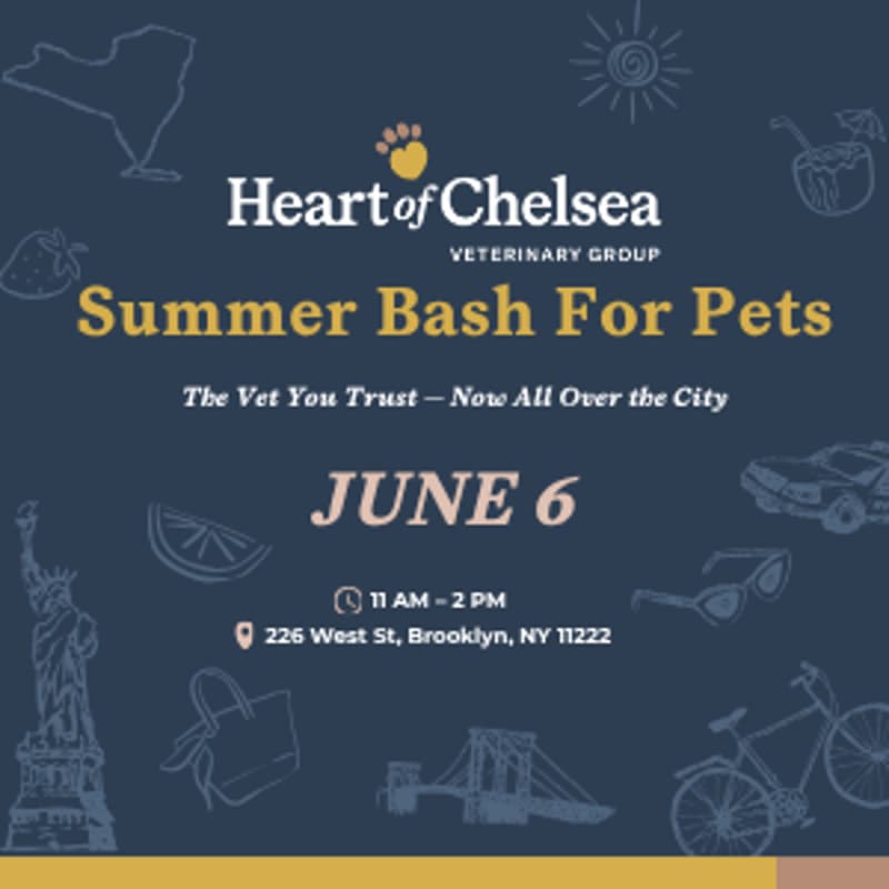 Cover Image for Summer Pet Bash - Greenpoint