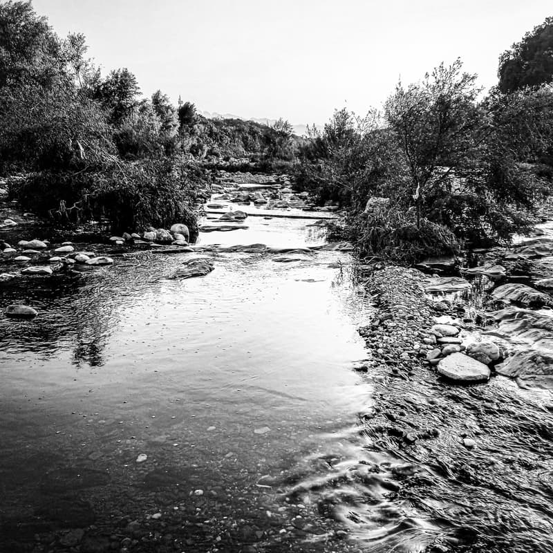 Cover Image for Photowalk: La vida junto al río