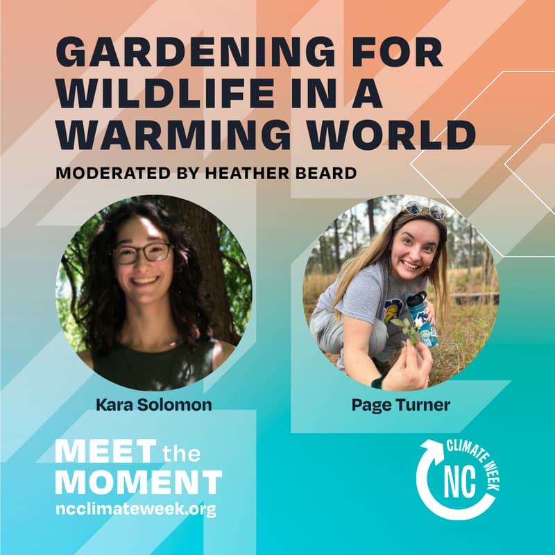 Cover Image for Gardening for Wildlife in a Warming World: How to Support Climate Resiliency Through Sequestering Carbon