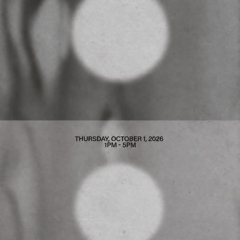 Cover Image for The Future Perfect Presents Dark Forest, Silver Moon
