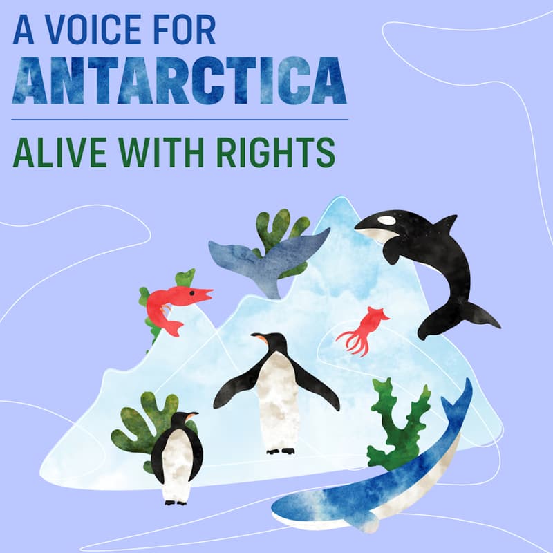 Cover Image for 7th International Rights of Nature Tribunal - A Voice for Antarctica: Alive with Rights