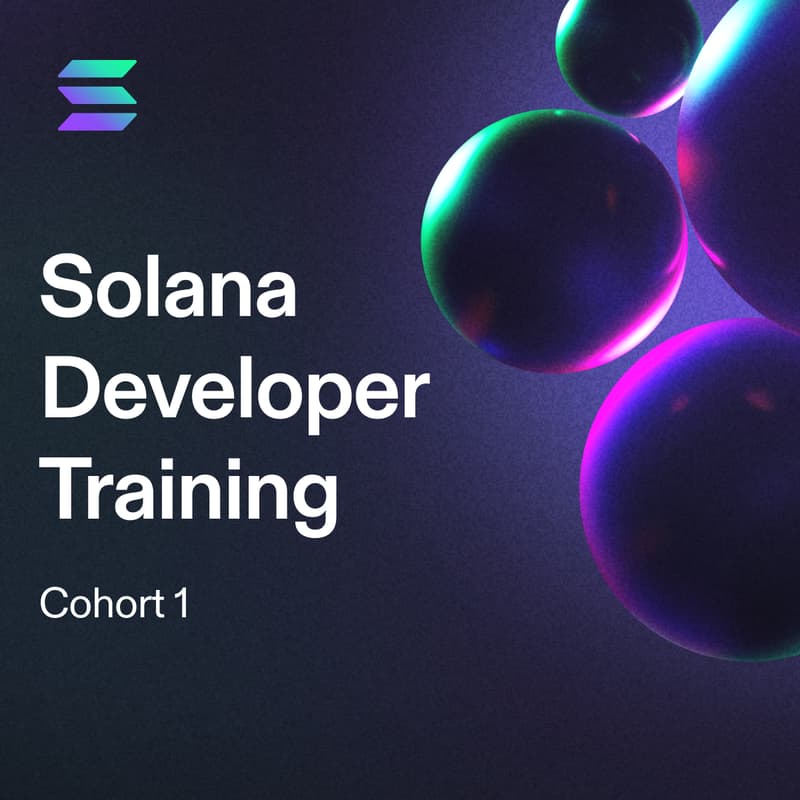 Cover Image for Solana Developer Training: Cohort 1