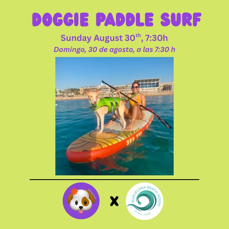 Cover Image for DOGGIE PADDLE SURF