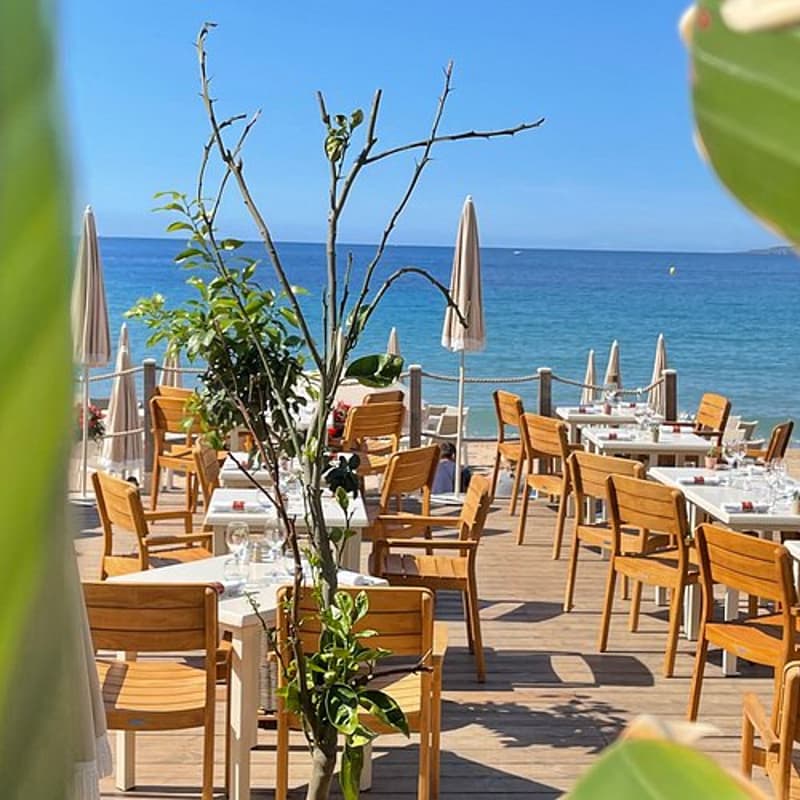 Cover Image for Dinner with Gradial