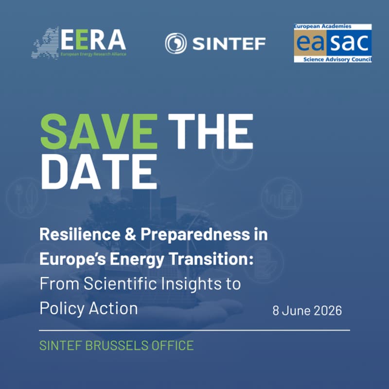 Cover Image for Panel Discussion: Resilience & Preparedness in Europe’s Energy Transition