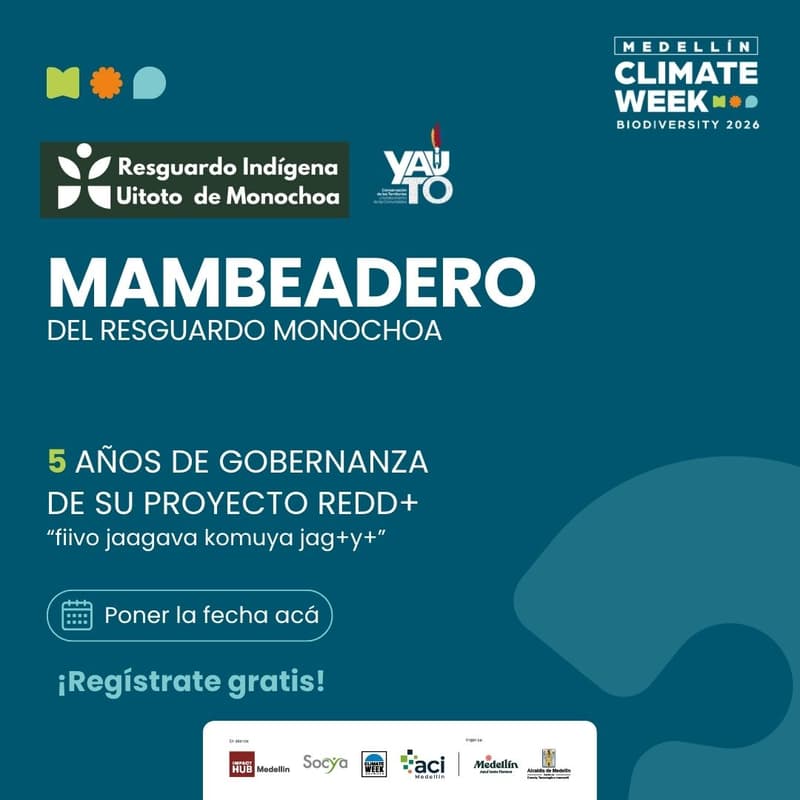 Cover Image for Mambeadero Monochoa: Cinco Años de Gobernanza Propia PROYECTO REDD+
