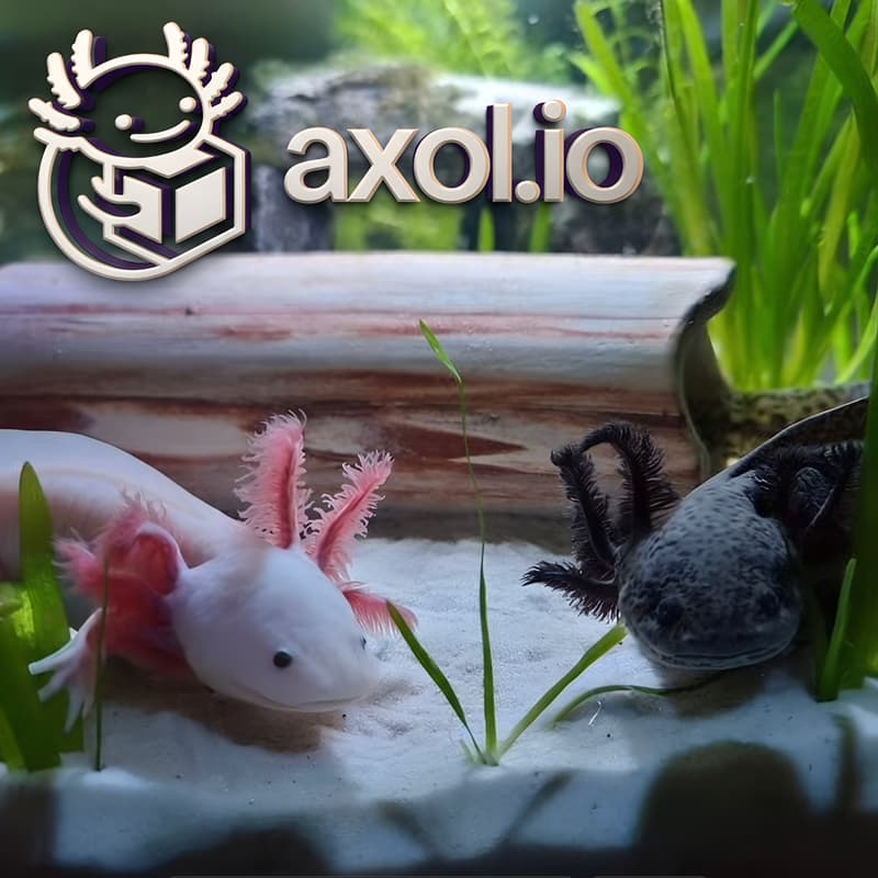 Cover Image for Axol:: Privacy & Pizza