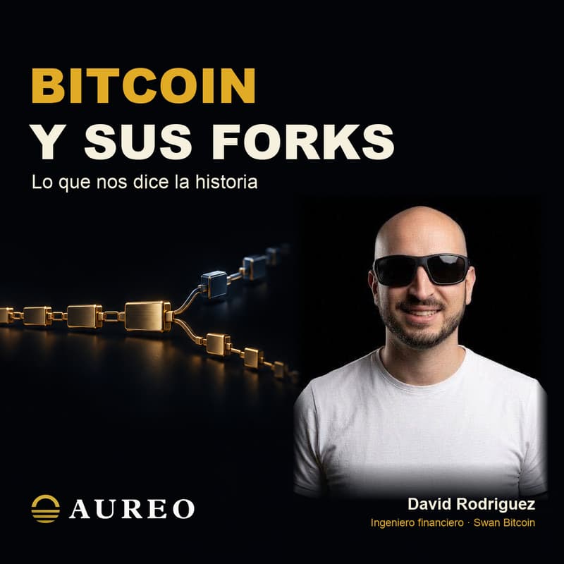 Cover Image for Bitcoin y sus forks: lo que nos dice la historia con David Rodriguez