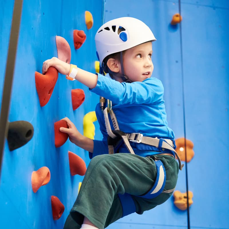 Cover Image for Taller Muro de Escalada Niños